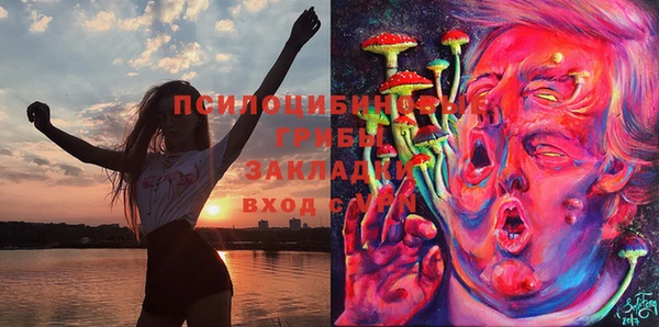 хмурый Покачи