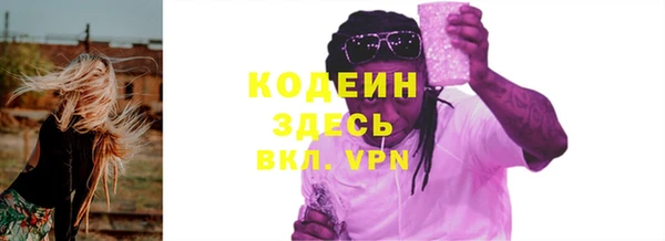 хмурый Покачи