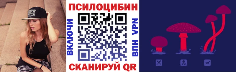 Псилоцибиновые грибы MAGIC MUSHROOMS  Боготол 